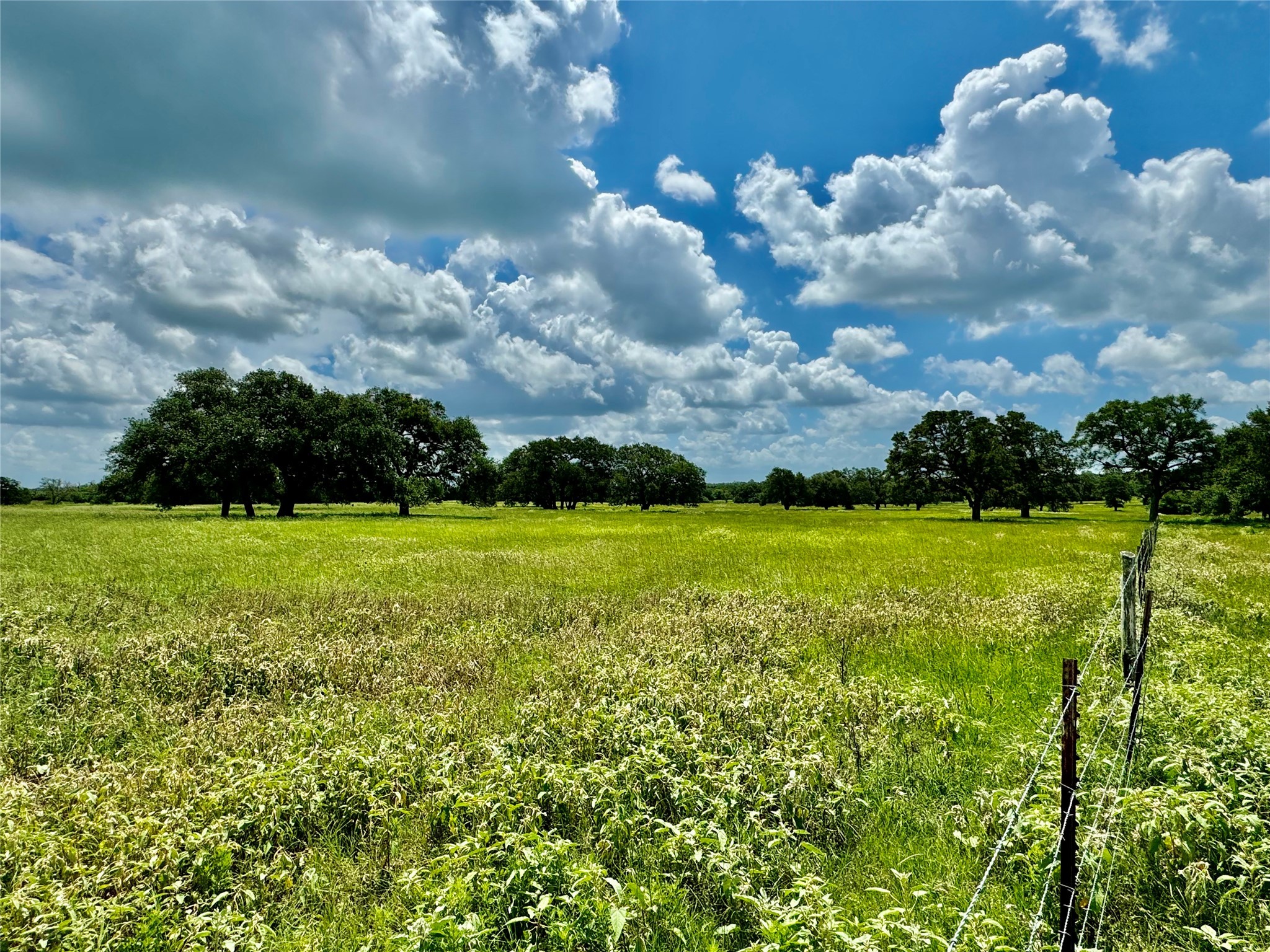 3653 Kaiser-Adams Road Yoakum, TX 77995 - Photo 10 of 22 a view of yard with swimming pool and green space