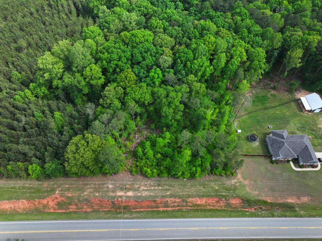 0 Ga Highway Waverly Hall, GA 31831 - Photo 4 of 5 a view of a yard
