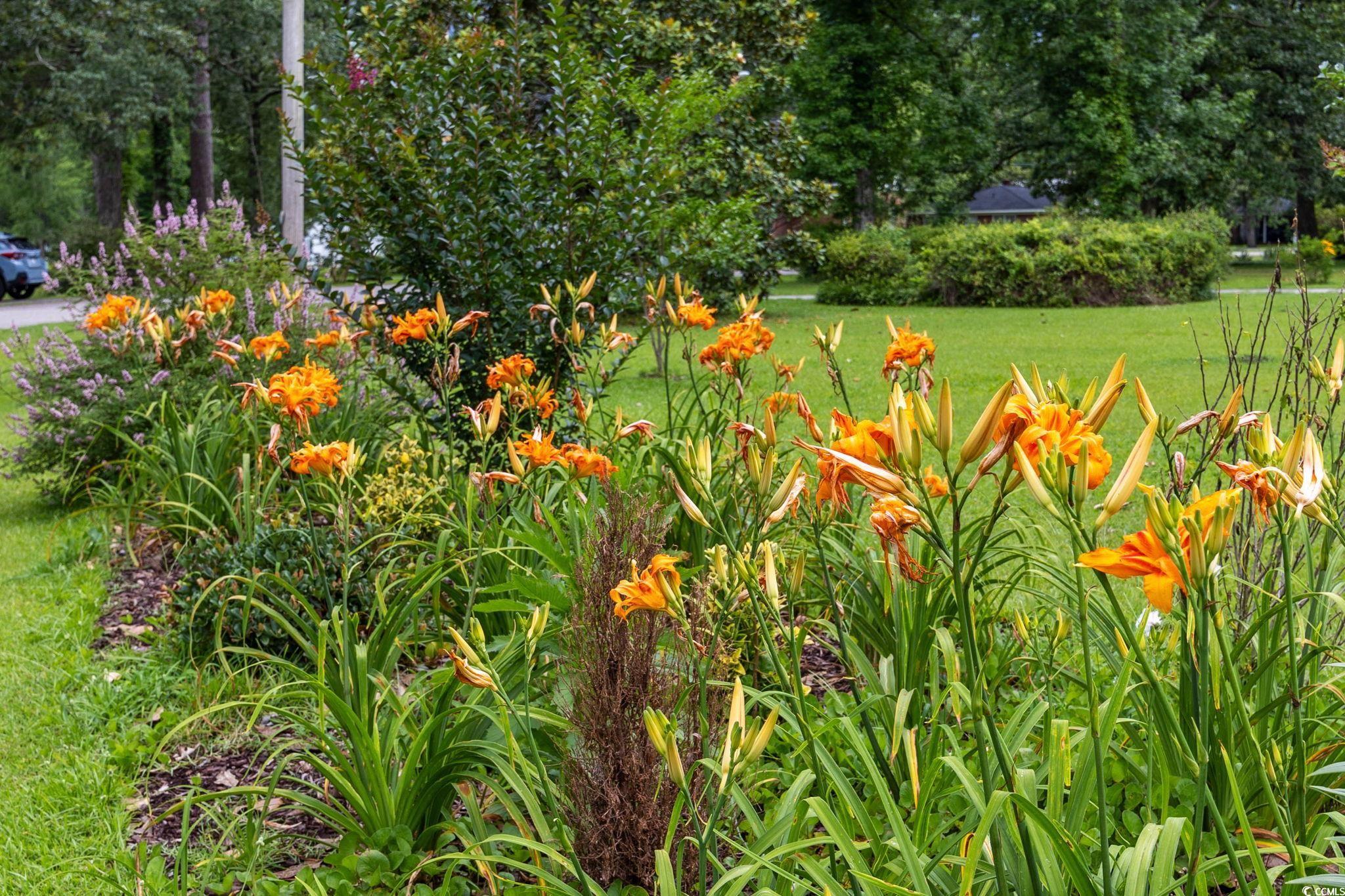 300 Crescent Drive Conway, SC 29526 - Photo 24 of 35