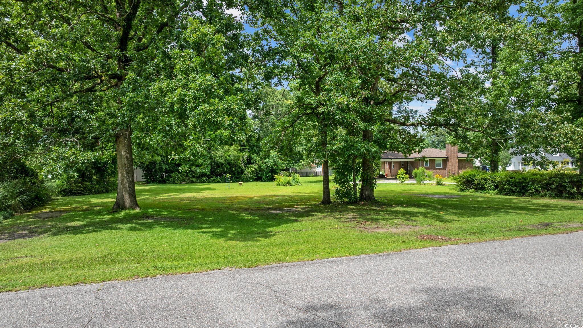 300 Crescent Drive Conway, SC 29526 - Photo 26 of 35