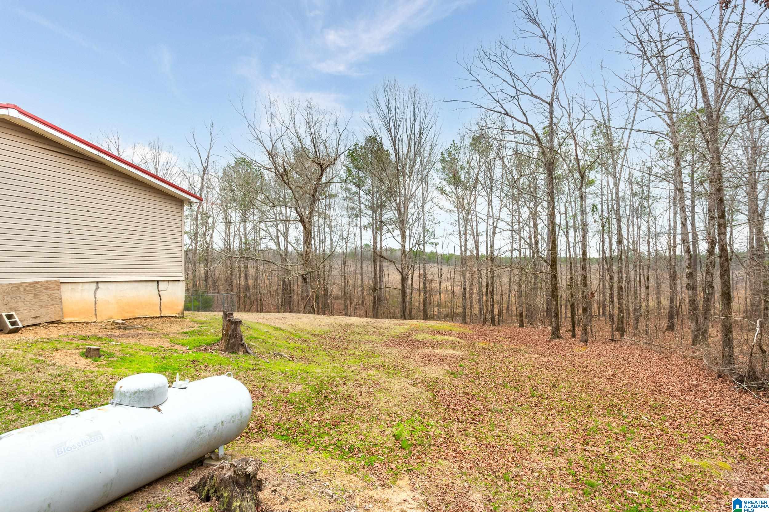 1040 Boiling Springs Road Ohatchee, AL 36271 - Photo 24 of 35