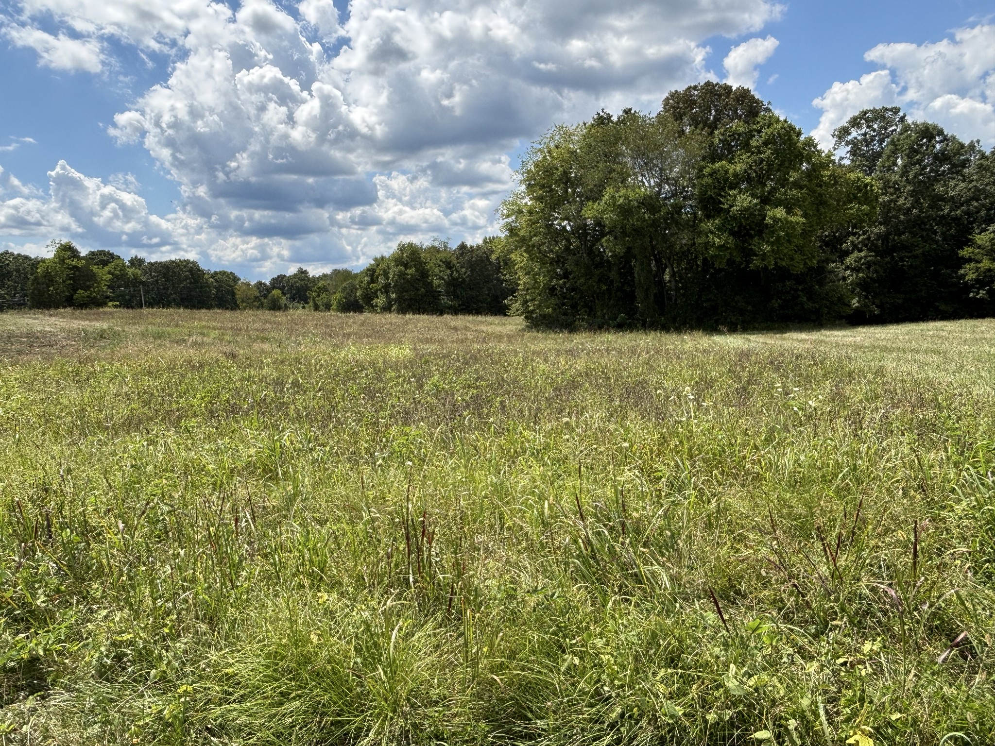 0 Middle Lick Creek Road Lyles, TN 37098 - Photo 1 of 4 Gallery Image 1