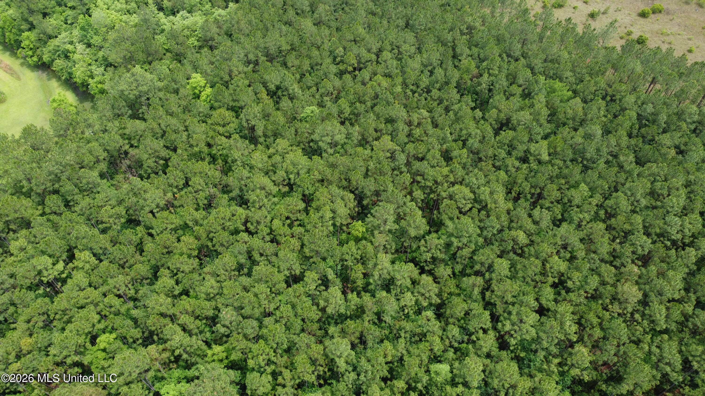 21205 South Fork Road Saucier, MS 39574 - Photo 15 of 23 dji_fly_20260521_140740_400_177939050215