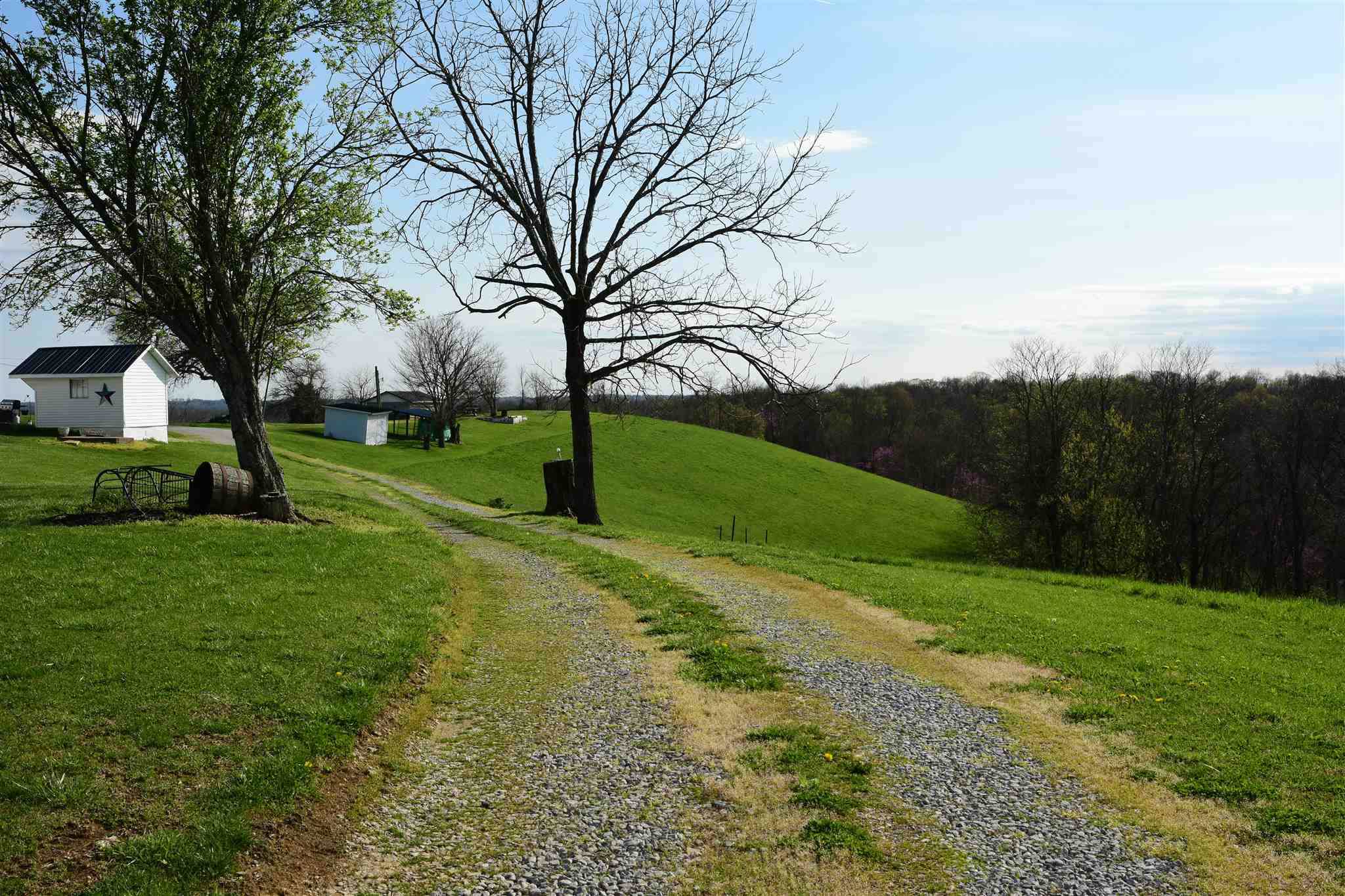 654 Belmont Road Brooksville, KY 41004 - Photo 10 of 50 Gallery Image 10