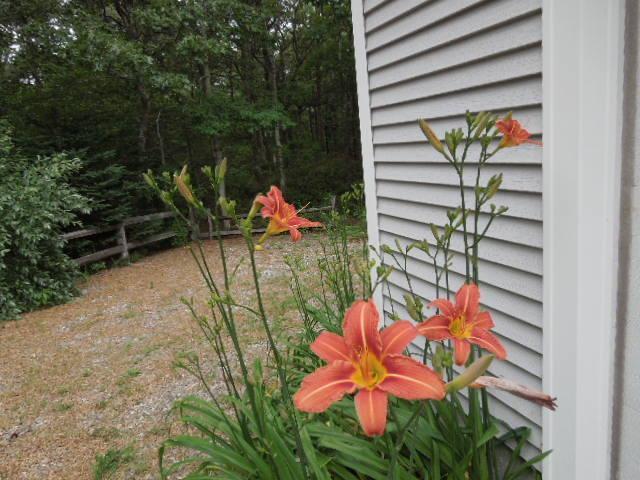 27 Manomet Road Sagamore Beach, MA 02562 - Photo 27 of 27 Additional Photo