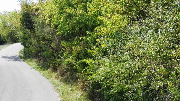 $51,900 | 0 Foxtail Lane, Patriot, IN 47038