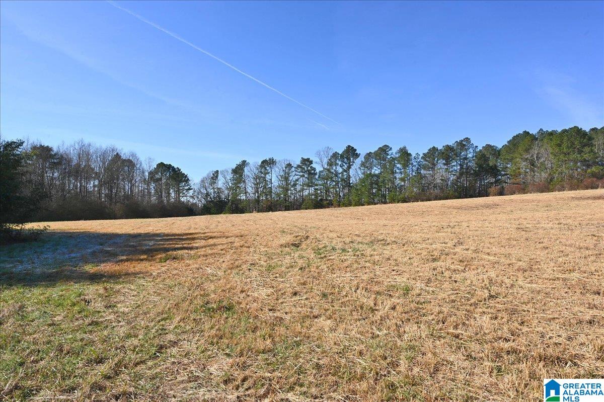 651 Old Hickory Road, Unit 15 ACRES Warrior, AL 35180 - Photo 2 of 13