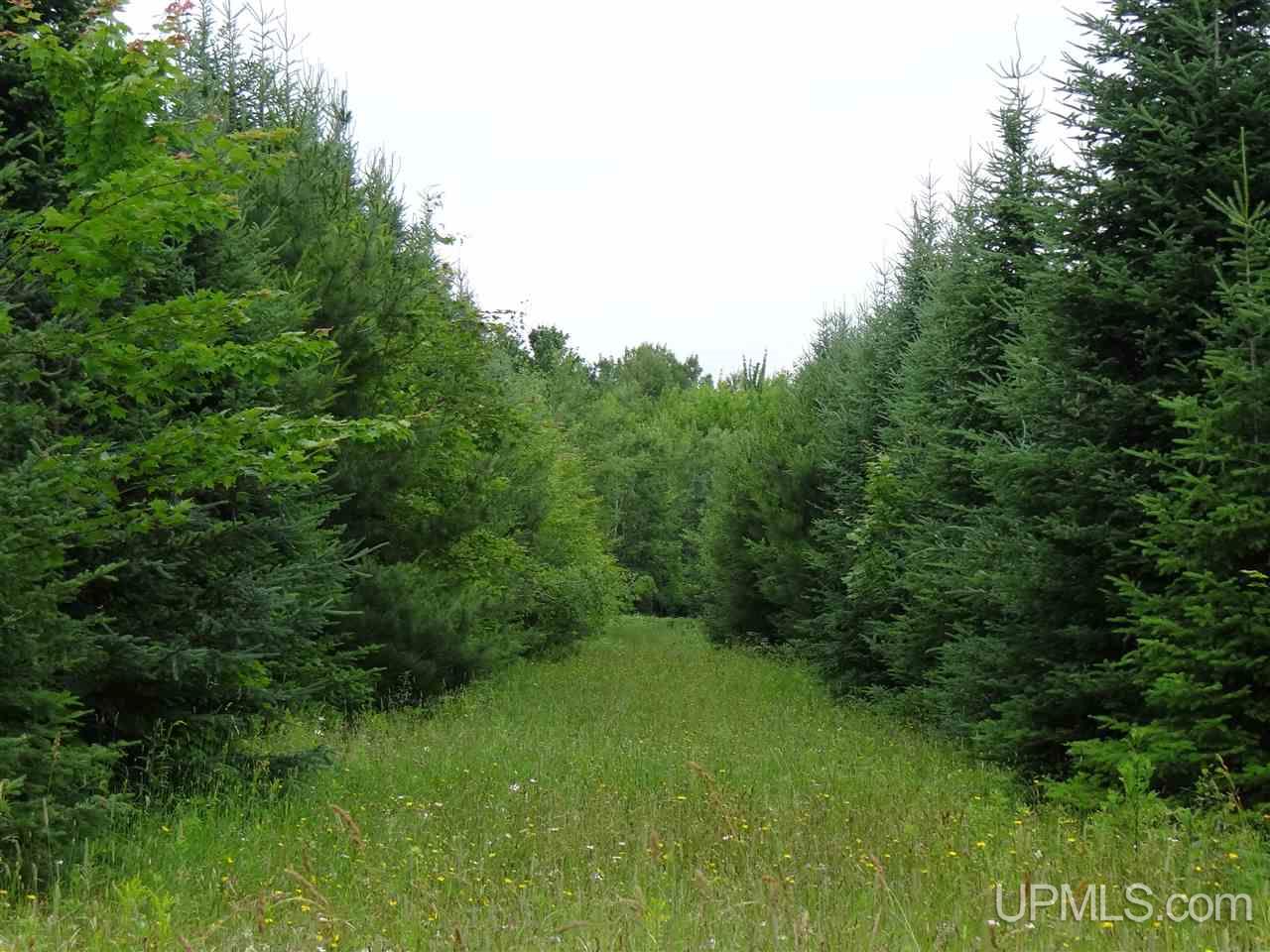 Tbd Pelto Road Baraga, MI 49908 - Photo 11 of 15 Gallery Image 11