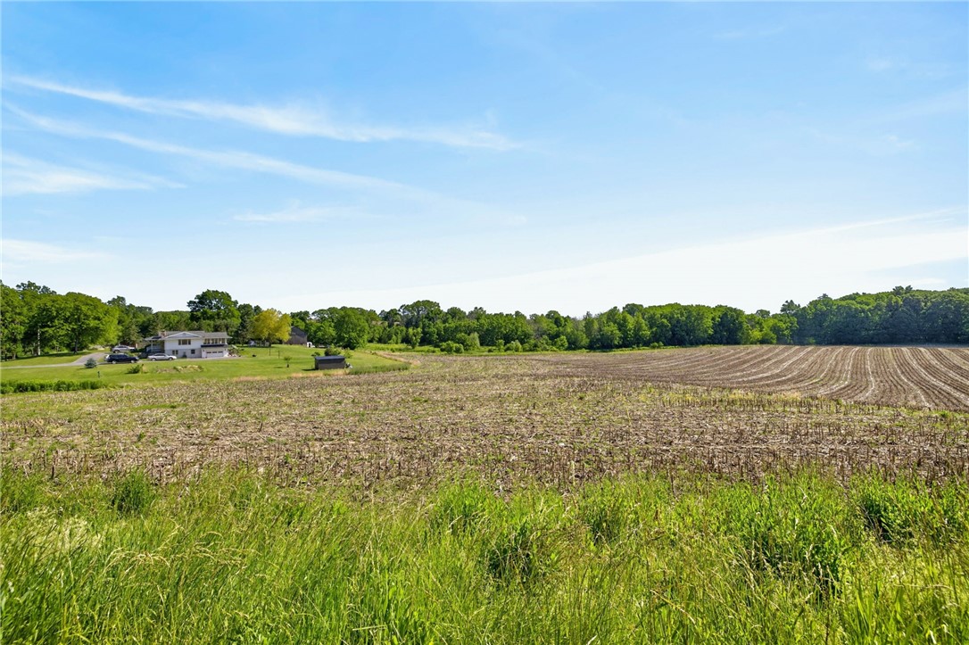 Cramer Road Canandaigua, NY 14424 - Photo 6 of 47