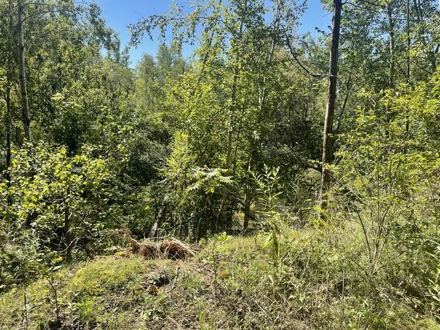 Lot 4 Skyview Road Mosinee, WI 54455 - Photo 7 of 17