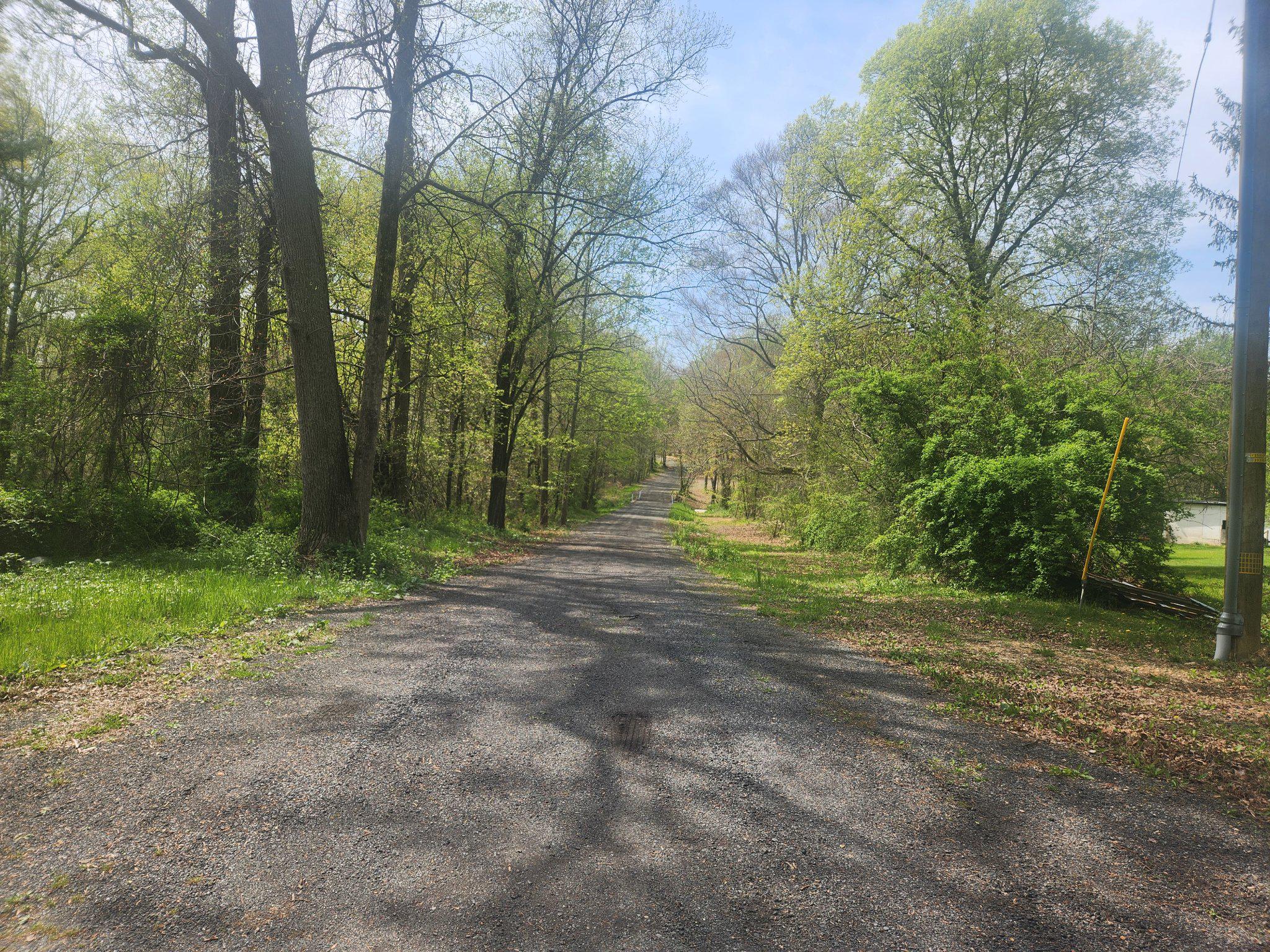 Lot 3 Mullins Court Rising Sun, MD 21911 - Photo 2 of 10 a view of outdoor space with trees