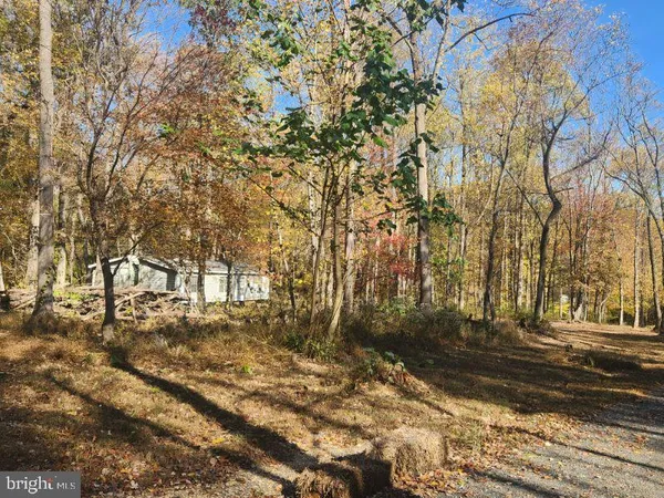 a view of a yard with trees