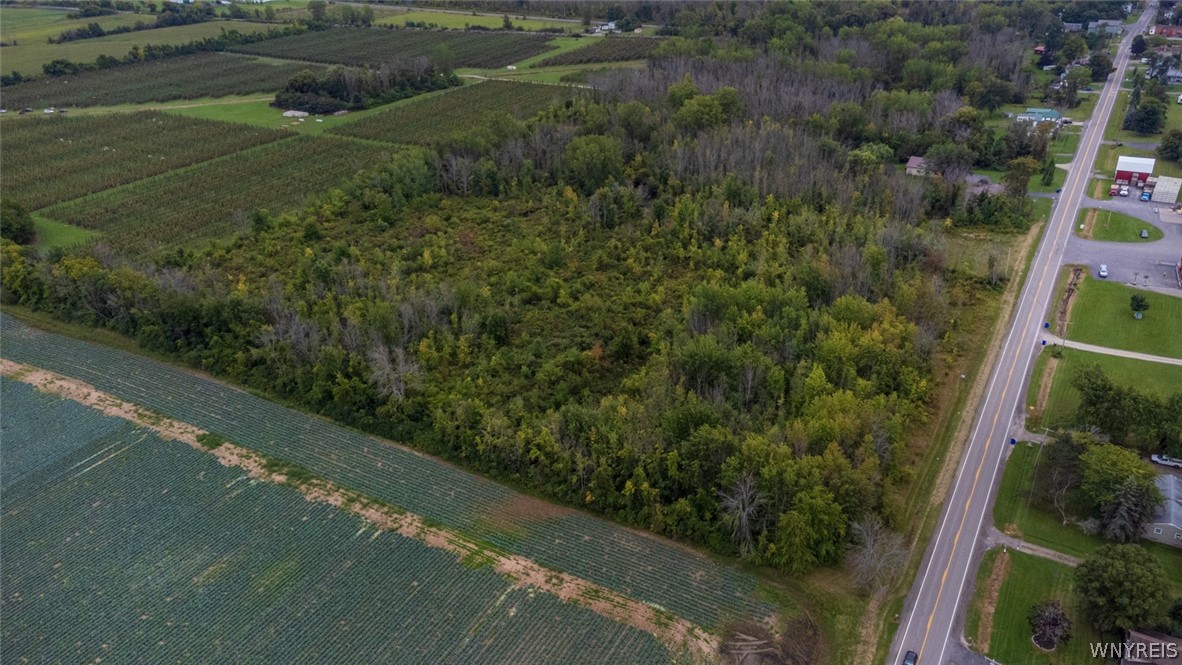 1787 Hess Road Newfane, NY 14008 - Photo 13 of 17