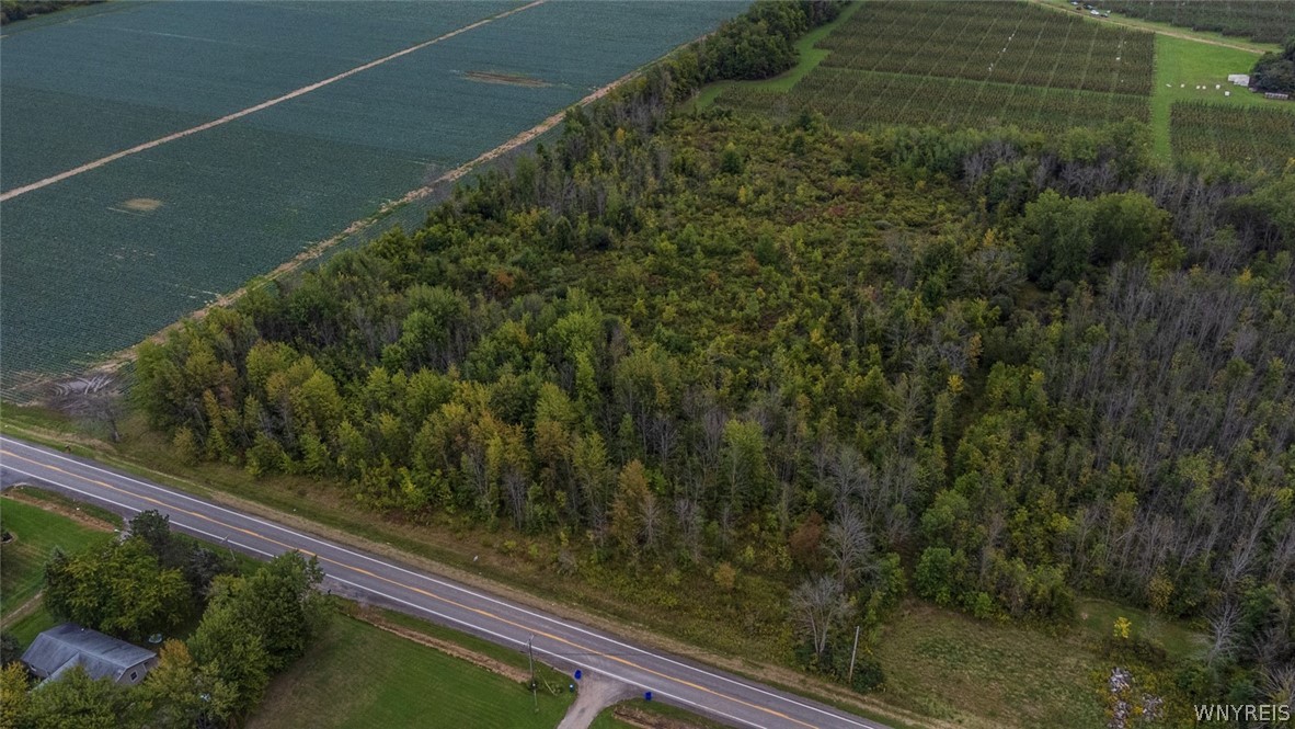 1787 Hess Road Newfane, NY 14008 - Photo 16 of 17