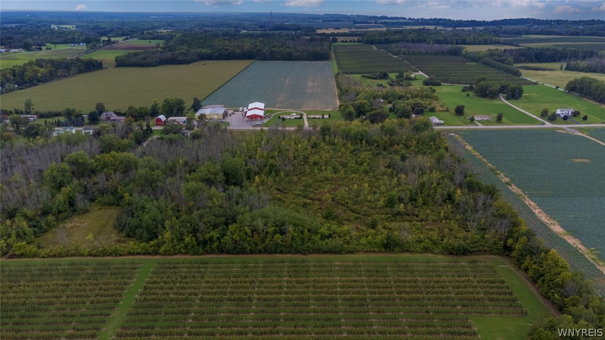 1787 Hess Road Newfane, NY 14008 - Photo 10 of 17