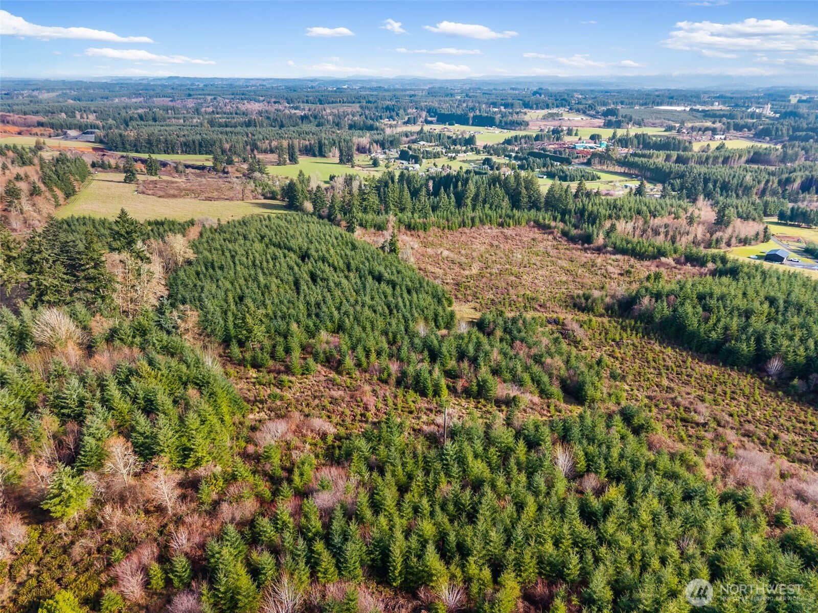 -xxx West Hale Road Winlock, WA 98596 - Photo 11 of 26 a view of a city