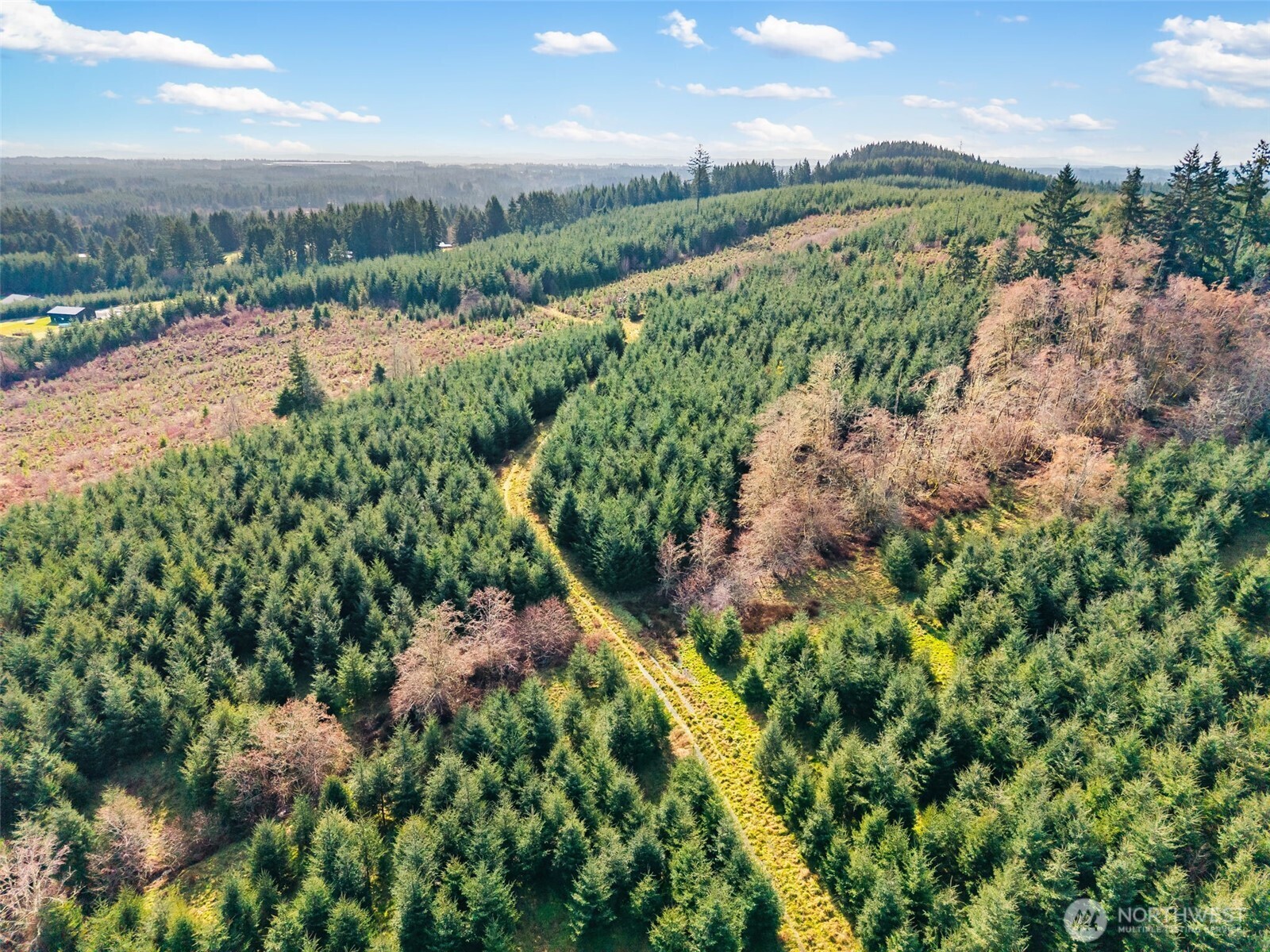 -xxx West Hale Road Winlock, WA 98596 - Photo 12 of 26 a view of a city and mountains