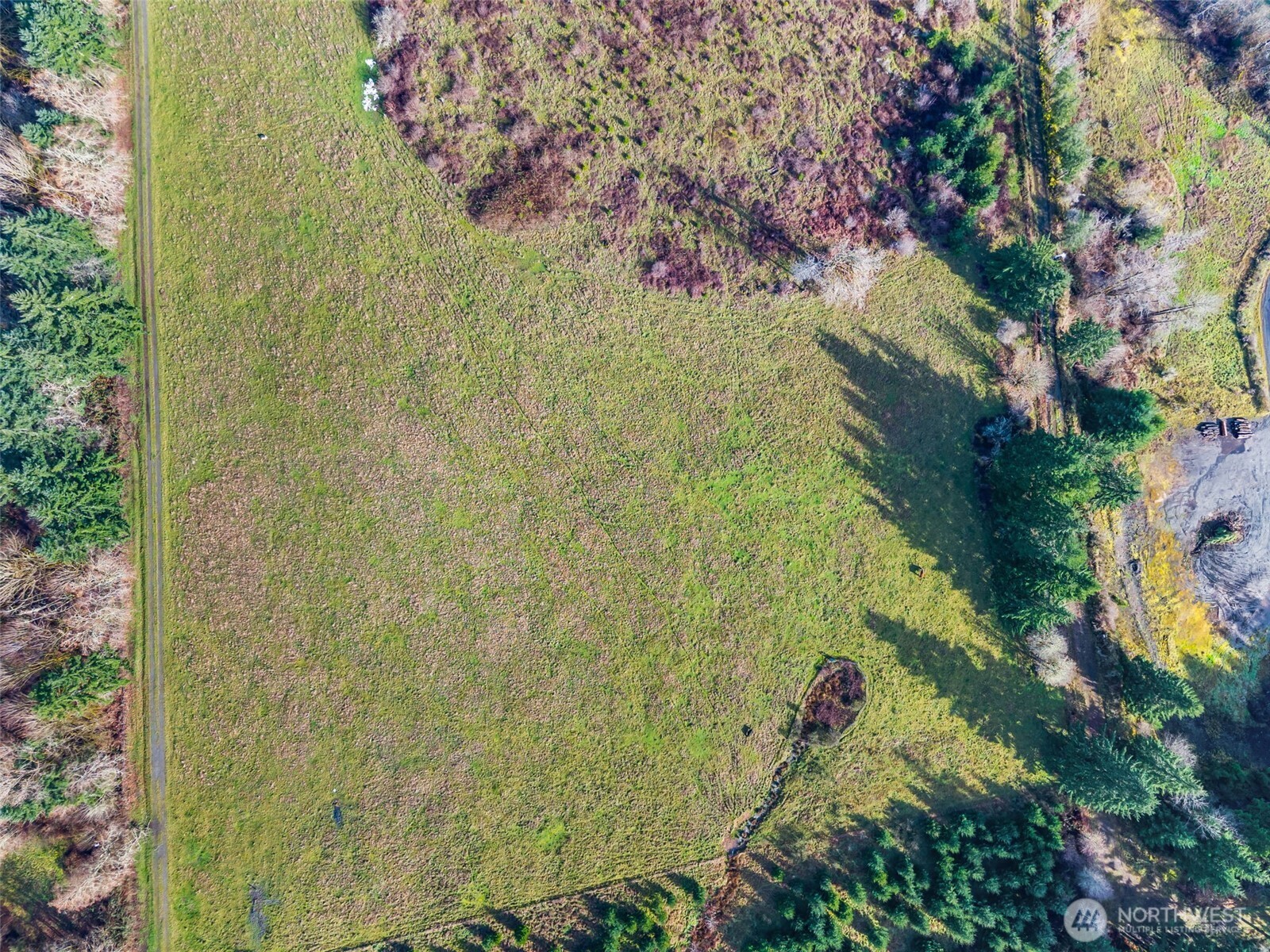 -xxx West Hale Road Winlock, WA 98596 - Photo 13 of 26 a view of a plant in a garden