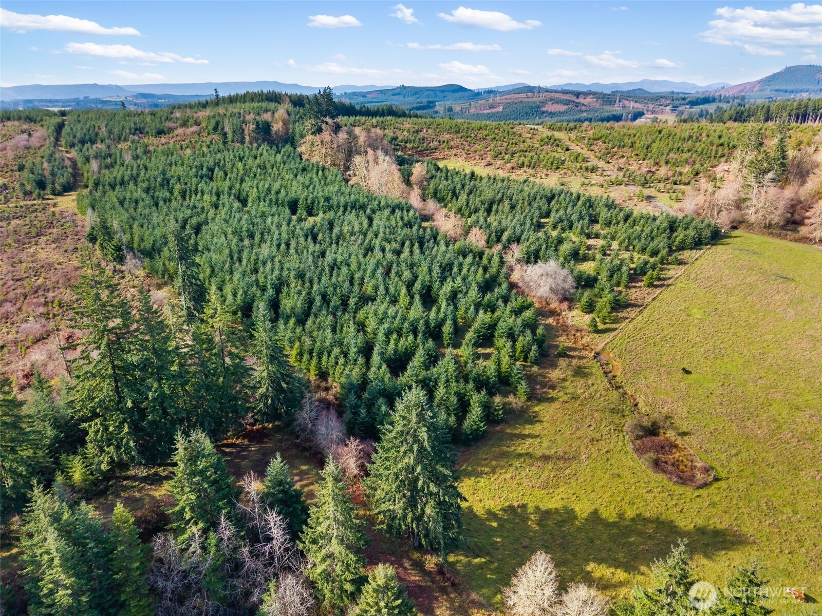 -xxx West Hale Road Winlock, WA 98596 - Photo 20 of 26 a view of a lake with a mountain in the background