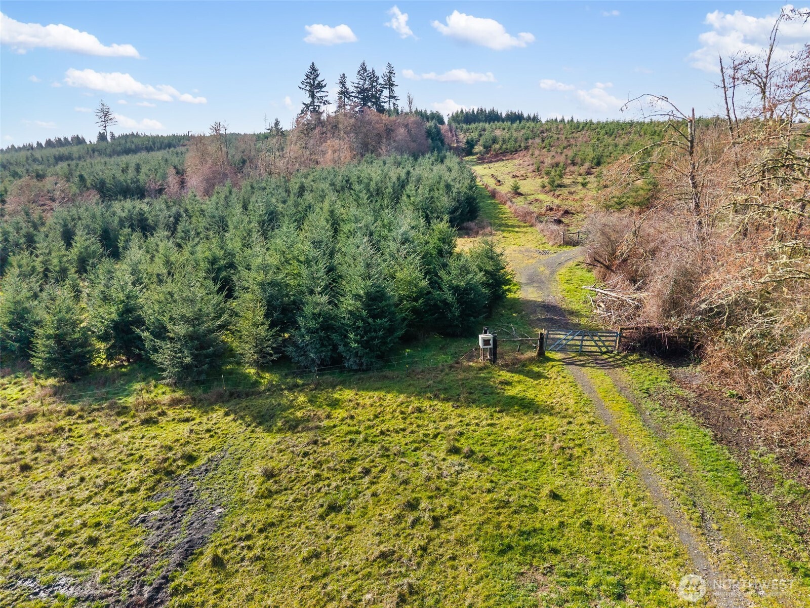 -xxx West Hale Road Winlock, WA 98596 - Photo 23 of 26 a view of a yard with swimming pool and mountains