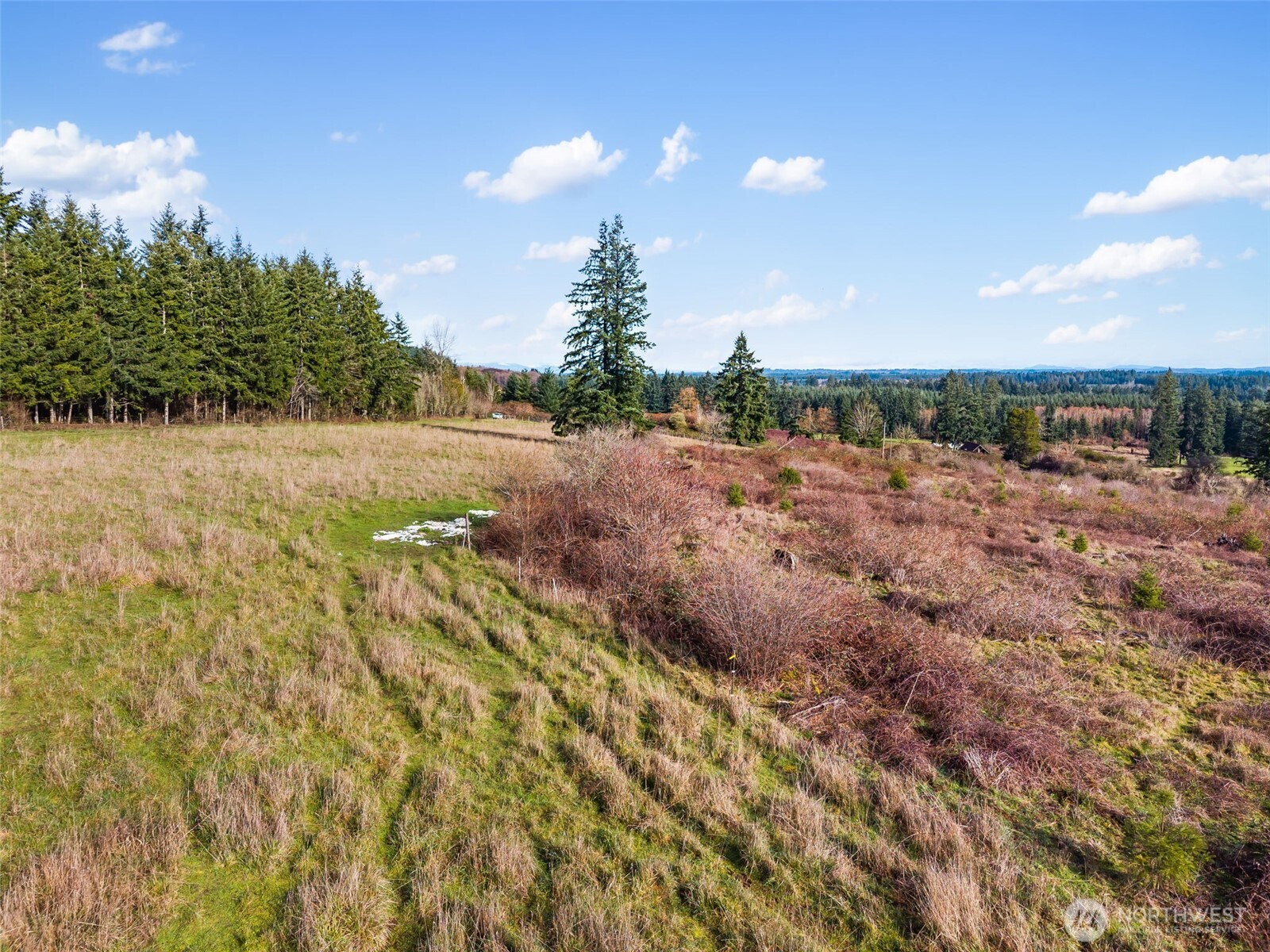 -xxx West Hale Road Winlock, WA 98596 - Photo 24 of 26 a view of a field of grass and trees