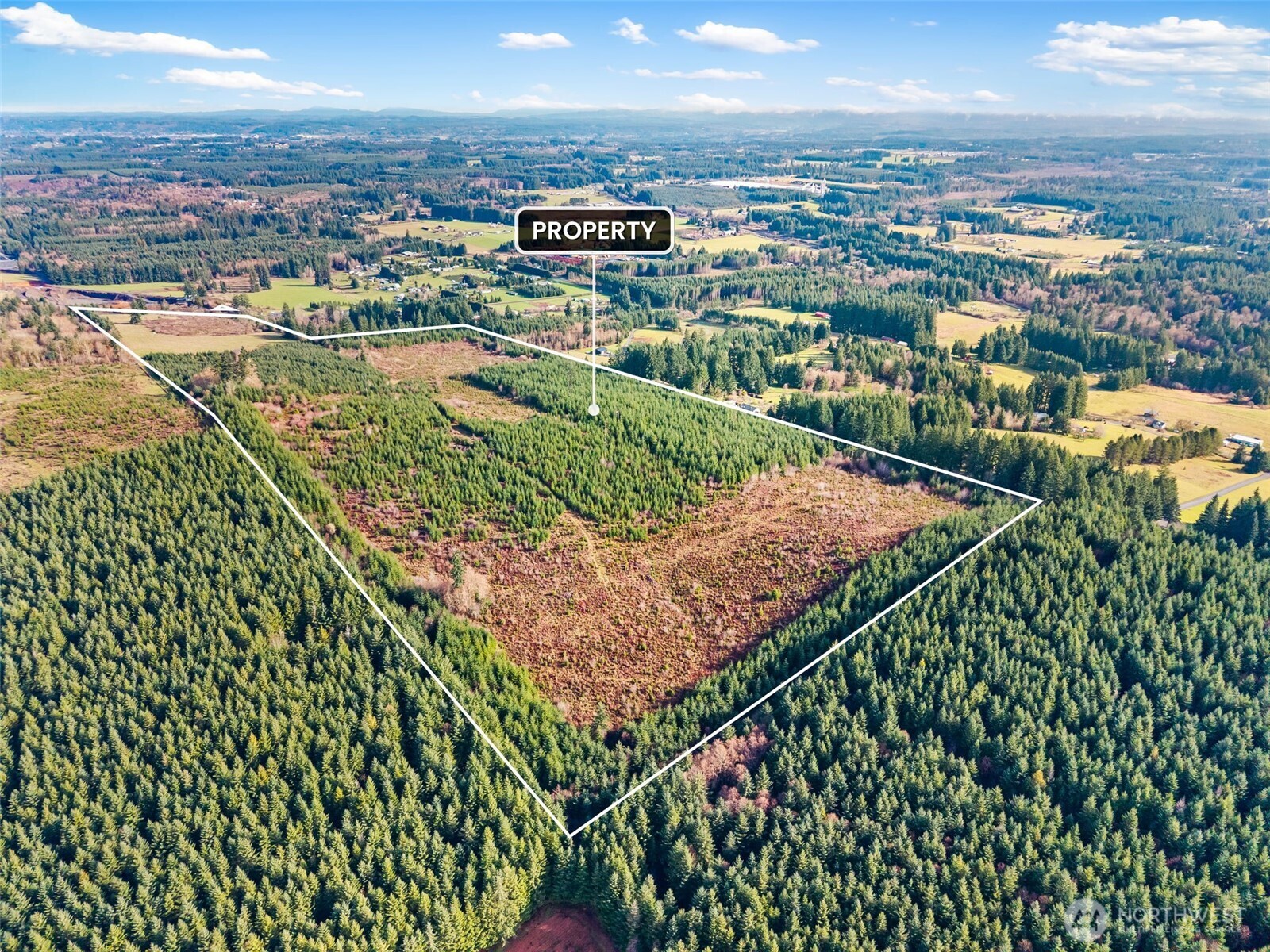 -xxx West Hale Road Winlock, WA 98596 - Photo 5 of 26