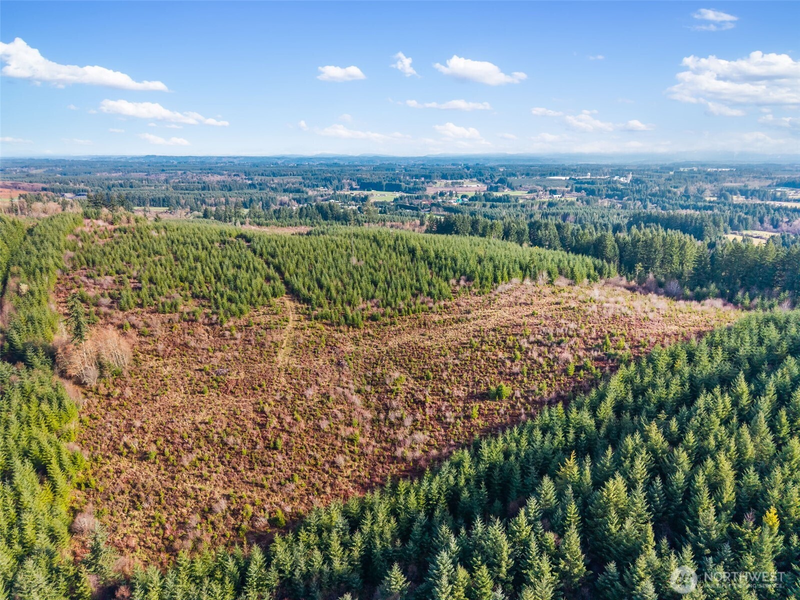 -xxx West Hale Road Winlock, WA 98596 - Photo 6 of 26 a view of a pathway with a garden