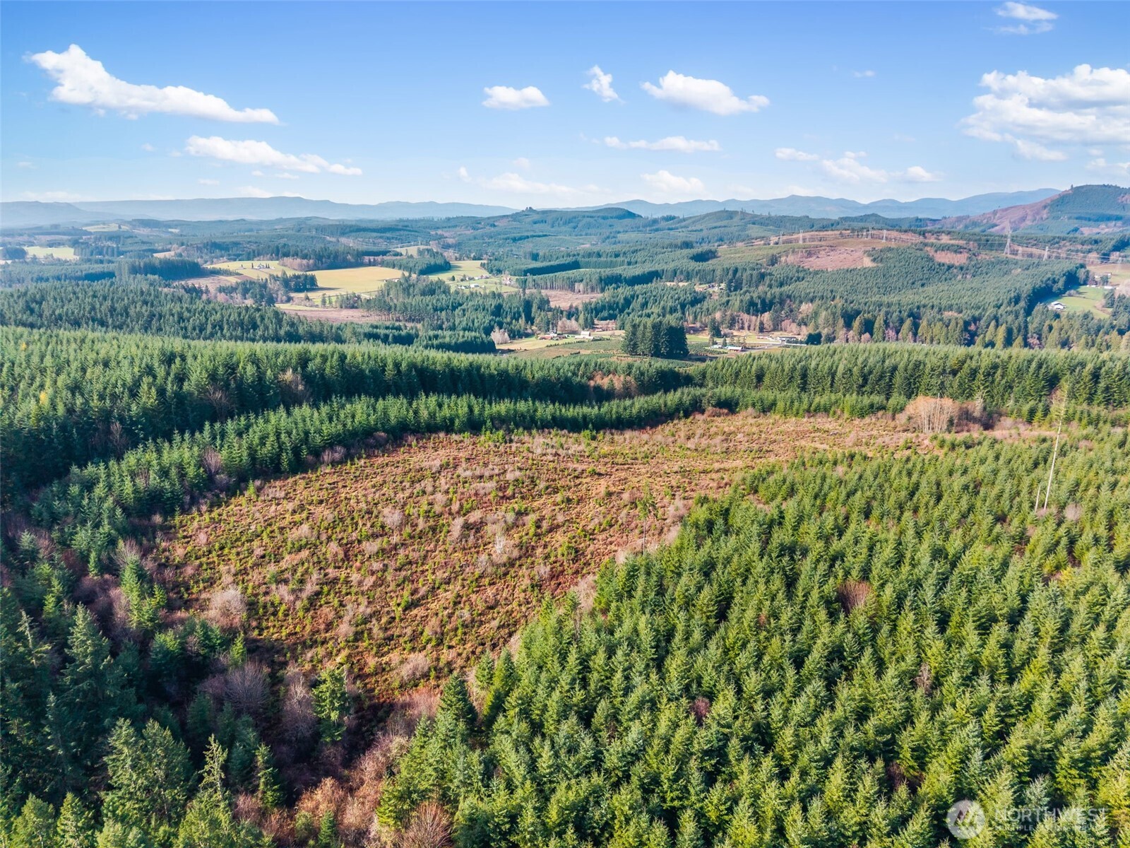 -xxx West Hale Road Winlock, WA 98596 - Photo 7 of 26 a view of a city