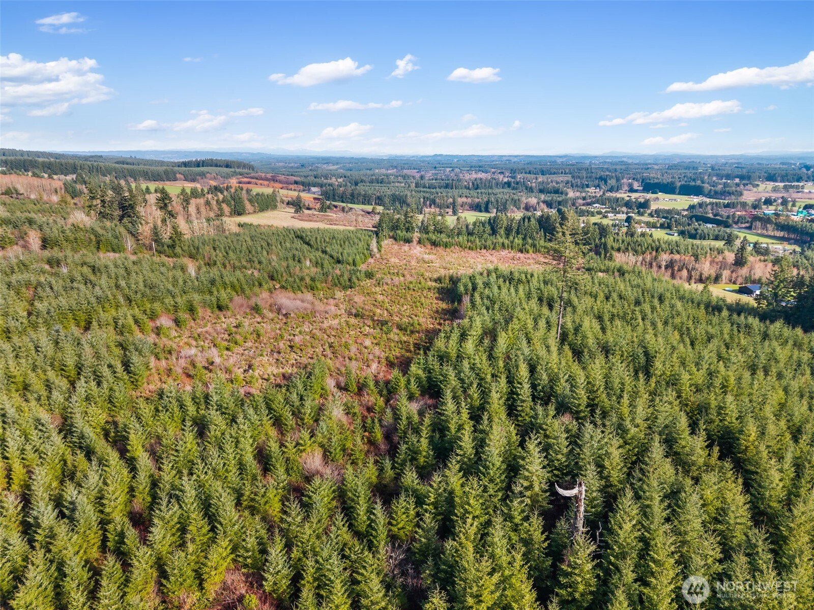 -xxx West Hale Road Winlock, WA 98596 - Photo 8 of 26 a view of a city