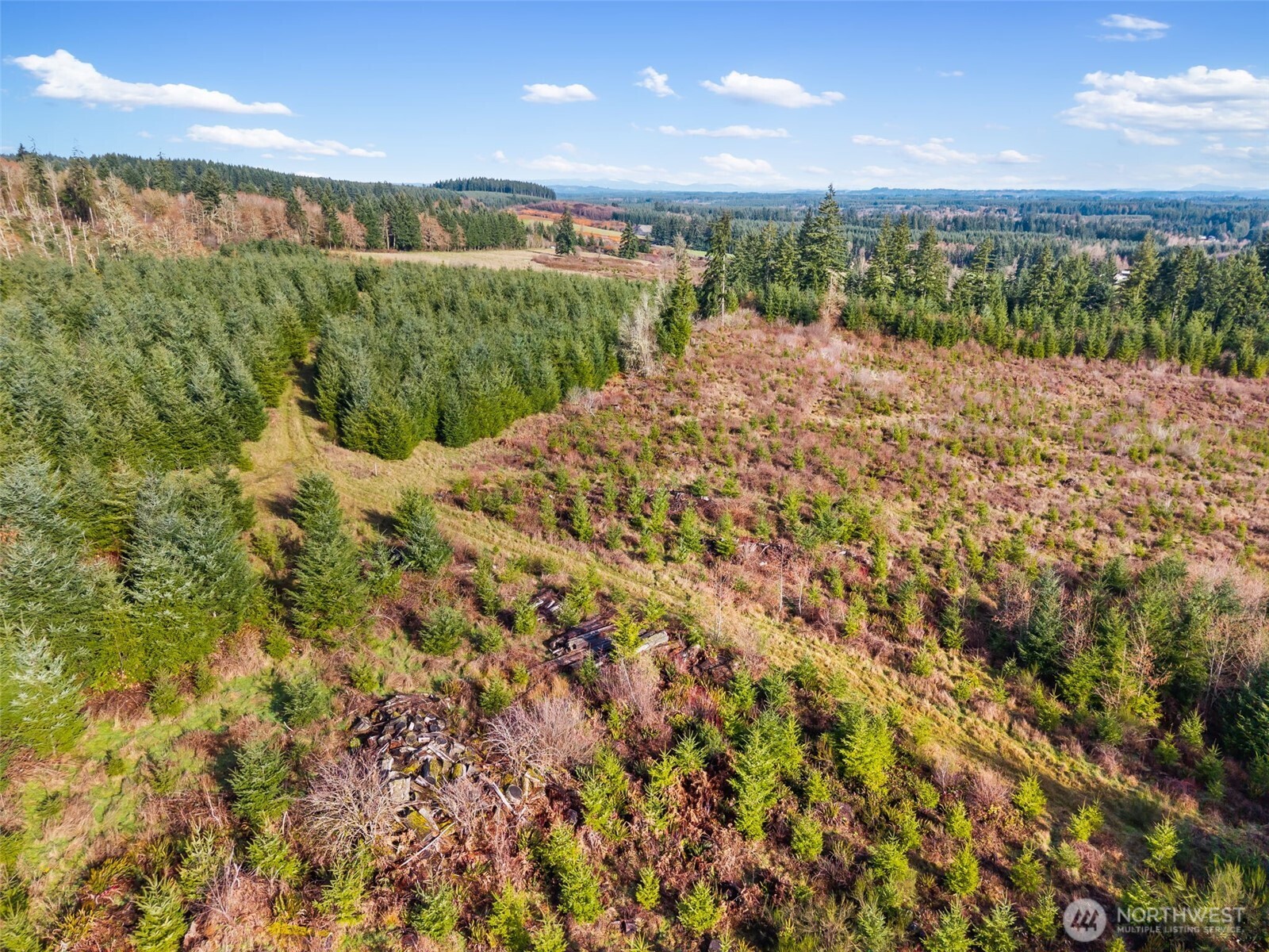 -xxx West Hale Road Winlock, WA 98596 - Photo 9 of 26 a view of a outdoor space