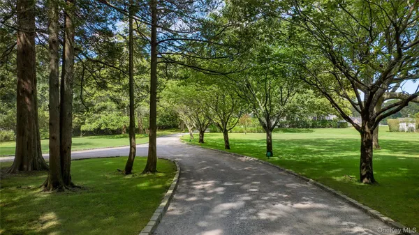 a view of a park with large trees
