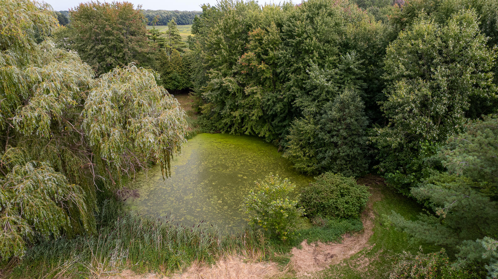 696 Burkley Road Mason, MI 48854 - Photo 33 of 76 696 Burkley Mason MI (Aerial Photos)-18