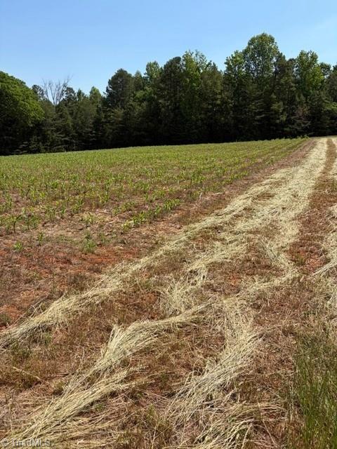 467 Crousetown Road Lexington, NC 27292 - Photo 3 of 11