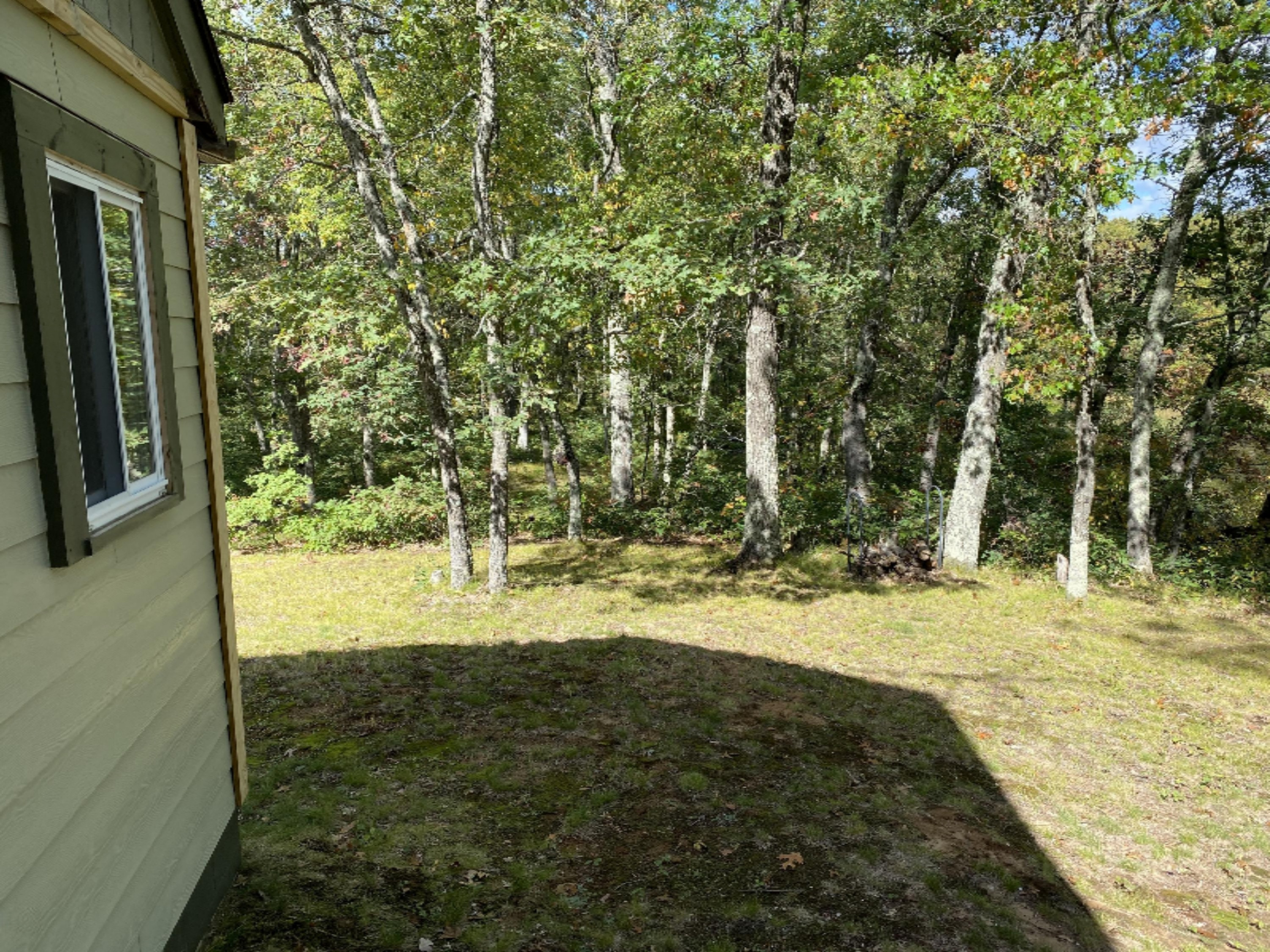 5093 East County Line Road Manistee, MI 49660 - Photo 38 of 52 Looking N off back deck toward Fed Land