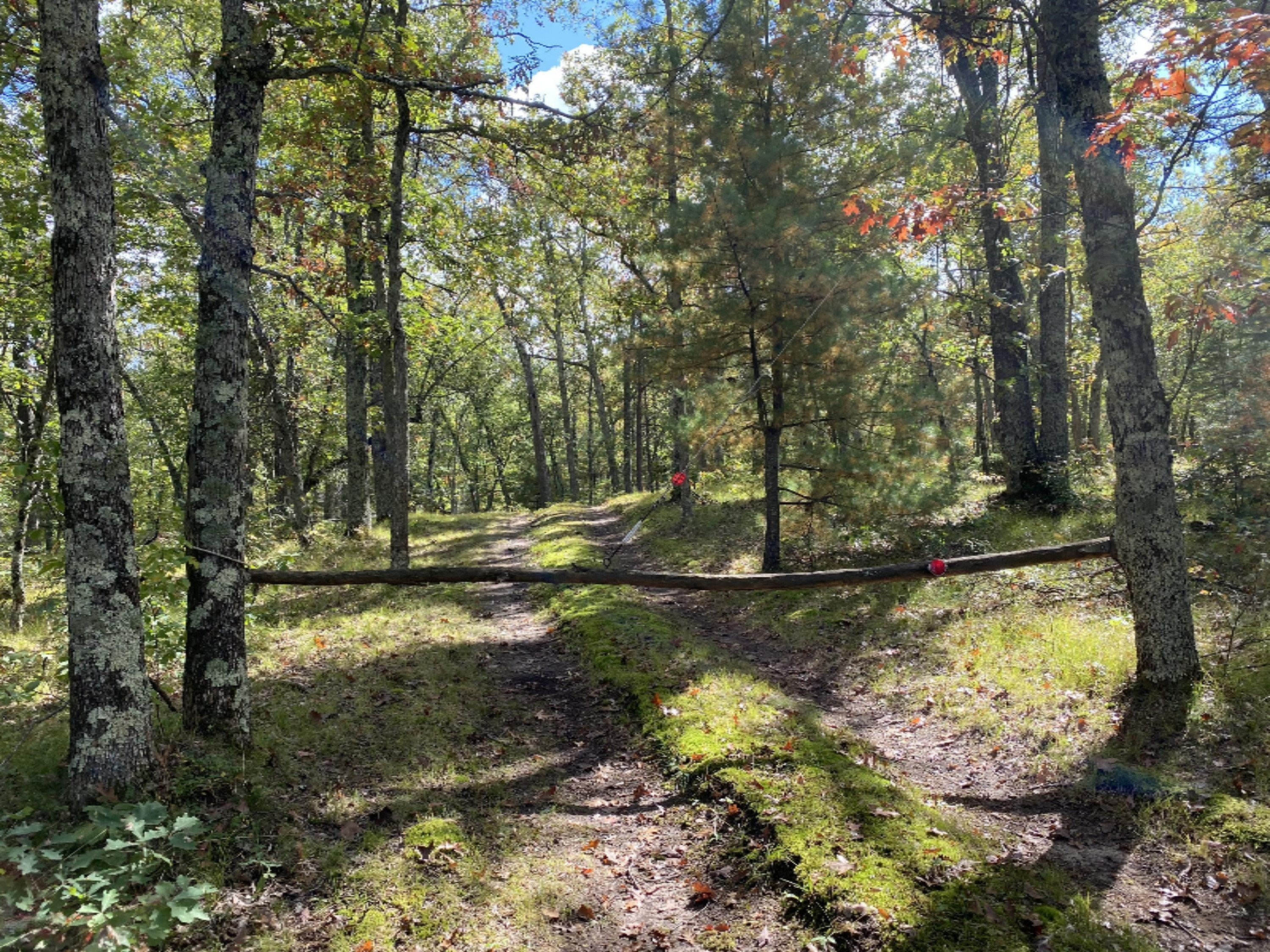 5093 East County Line Road Manistee, MI 49660 - Photo 51 of 52 Two-track into cottage