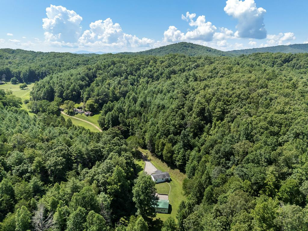 637 Oakgrove Road Murphy, NC 28906 - Photo 10 of 51