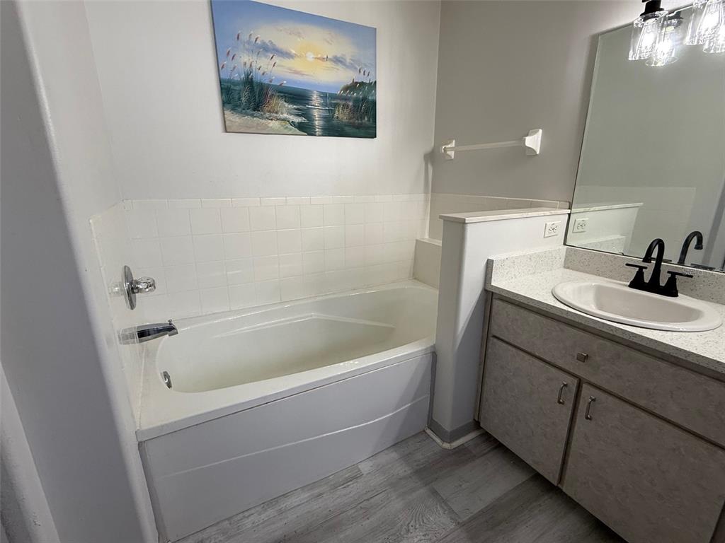 6008 Southwest 103rd Loop Ocala, FL 34476 - Photo 17 of 37 a bathroom with a bathtub and a sink