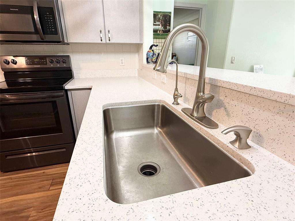 6008 Southwest 103rd Loop Ocala, FL 34476 - Photo 9 of 37 a close view of sink and tap