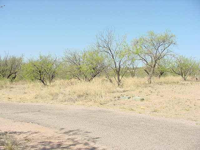 954 Tecla Court Rio Rico, AZ 85648 - Photo 1 of 1 Gallery Image 1