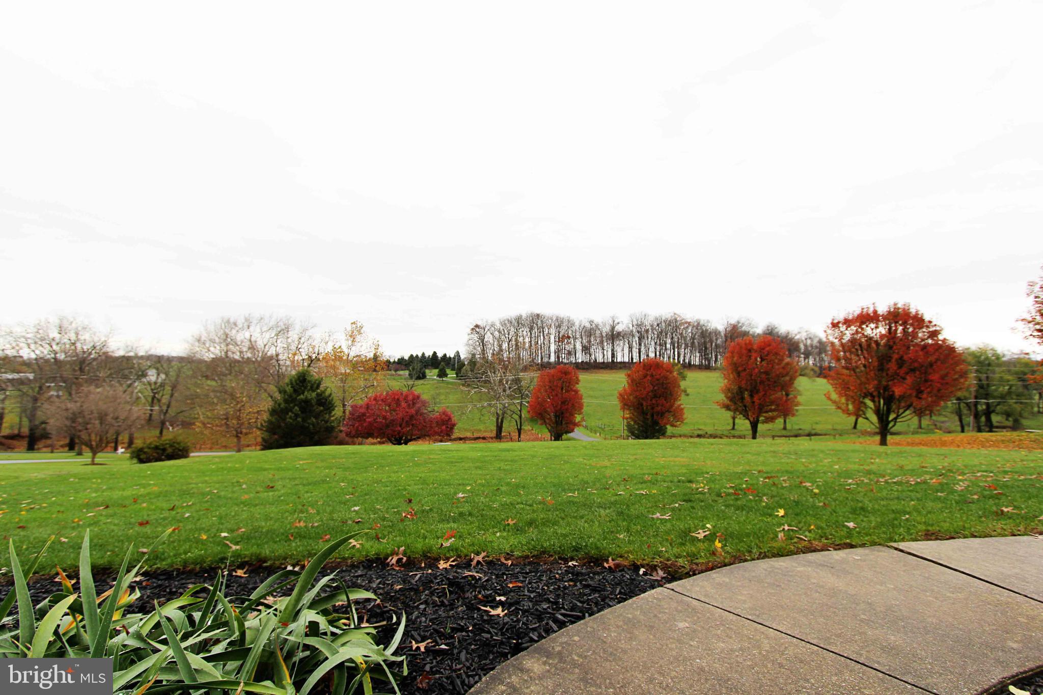189 Mathias Road Littlestown, PA 17340 - Photo 10 of 82 Rear yard looks into Maryland