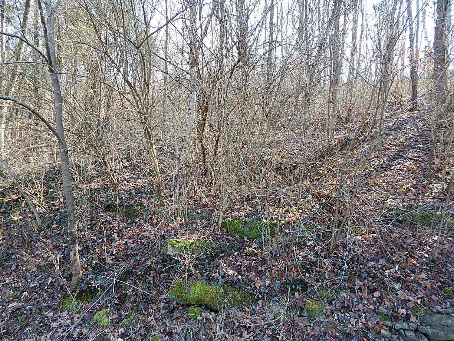 3991 Irvine Road Winchester, KY 40391 - Photo 20 of 61 Photo 20