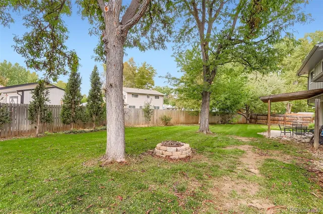 a view of a tree in front of a house with a big yard