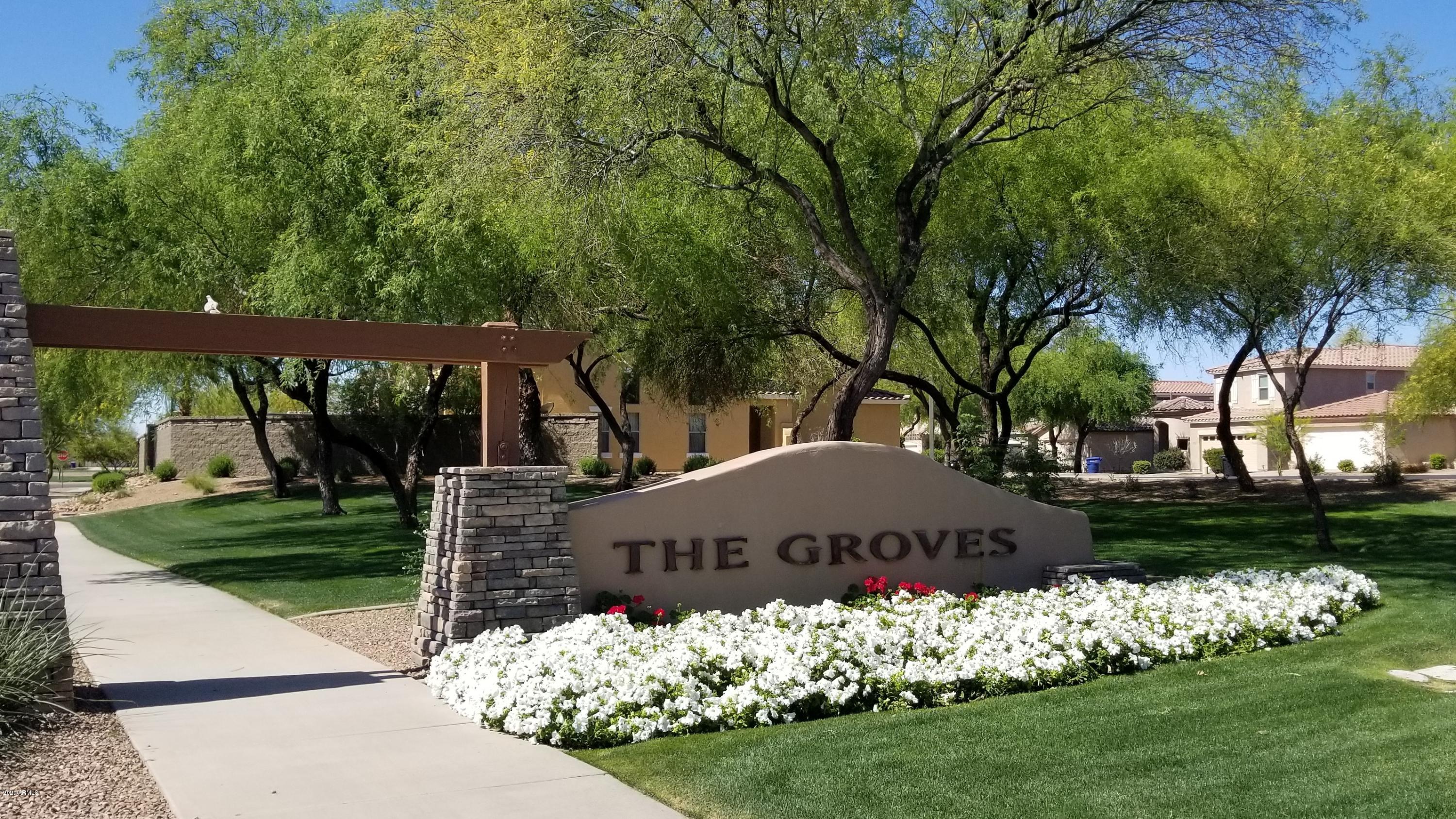 4029 East Ironhorse Road Gilbert, AZ 85297 - Photo 37 of 45 20200416_101311
