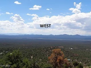 Hilltop Pioche, NV 89043 - Photo 11 of 21 Mountain view with a view of trees