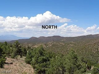 Hilltop Pioche, NV 89043 - Photo 12 of 21 Property view of mountains featuring a wooded view