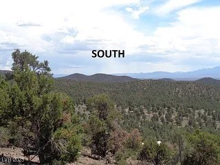 Hilltop Pioche, NV 89043 - Photo 13 of 21 View of mountain feature featuring a forest view