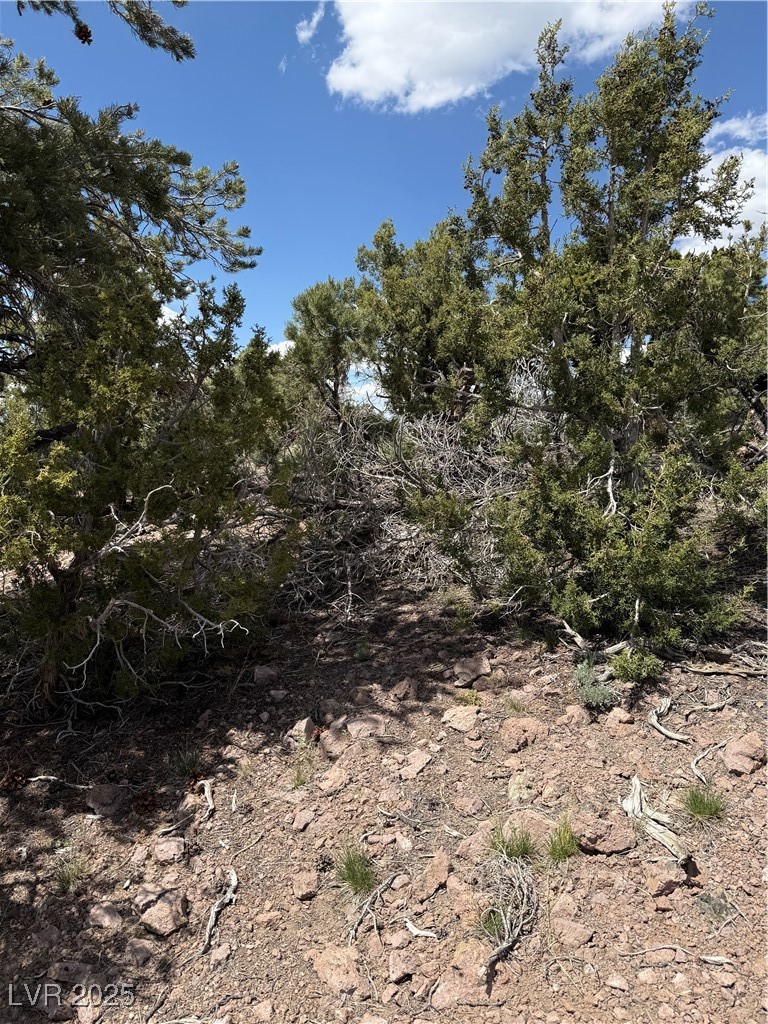 Hilltop Pioche, NV 89043 - Photo 17 of 21 View of nature