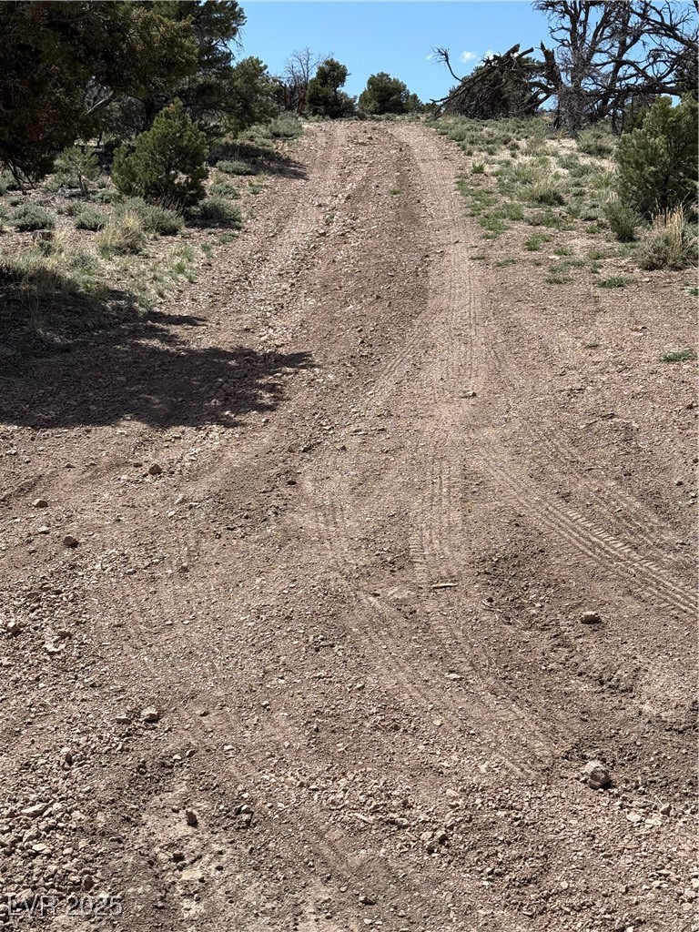 Hilltop Pioche, NV 89043 - Photo 21 of 21 View of road