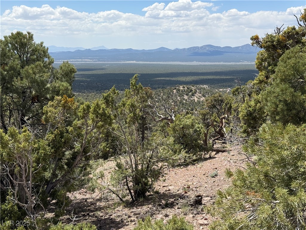 Hilltop Pioche, NV 89043 - Photo 7 of 21 Mountain view
