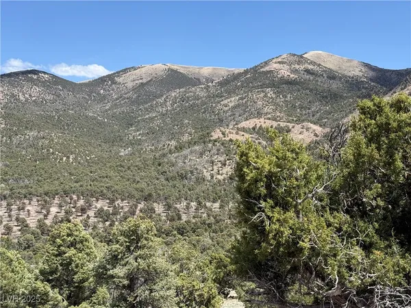 $39,000 | Hilltop, Pioche, NV 89043